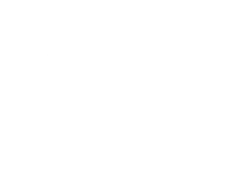 Logo 8Cobrafidef_bco